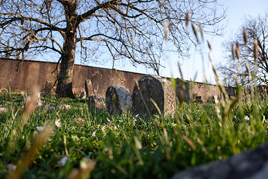 Drama pri koprskem pokopališču, dogajajo se je nekaj minut čez polnoč