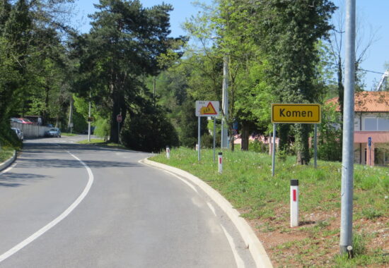Občan ga je našel na cesti brez znakov življenja