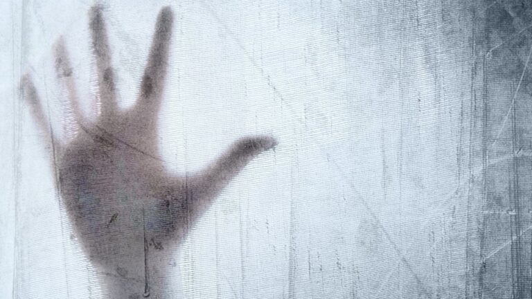 »Makedonski delavec v Izoli skušal posiliti 16-letno domačinko«