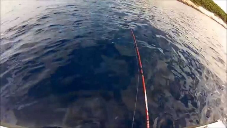 Na Obali ga je pičila riba