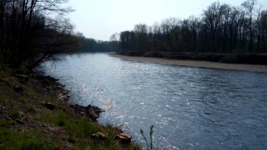 Policist skočil v Muro in jo rešil