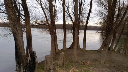 Truplo pogrešane našli v Dravi