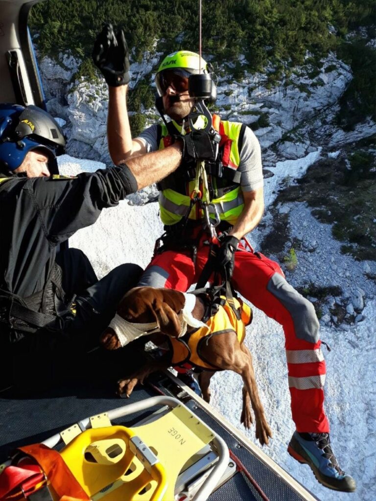 FOTO: Psa rešili s helikopterjem
