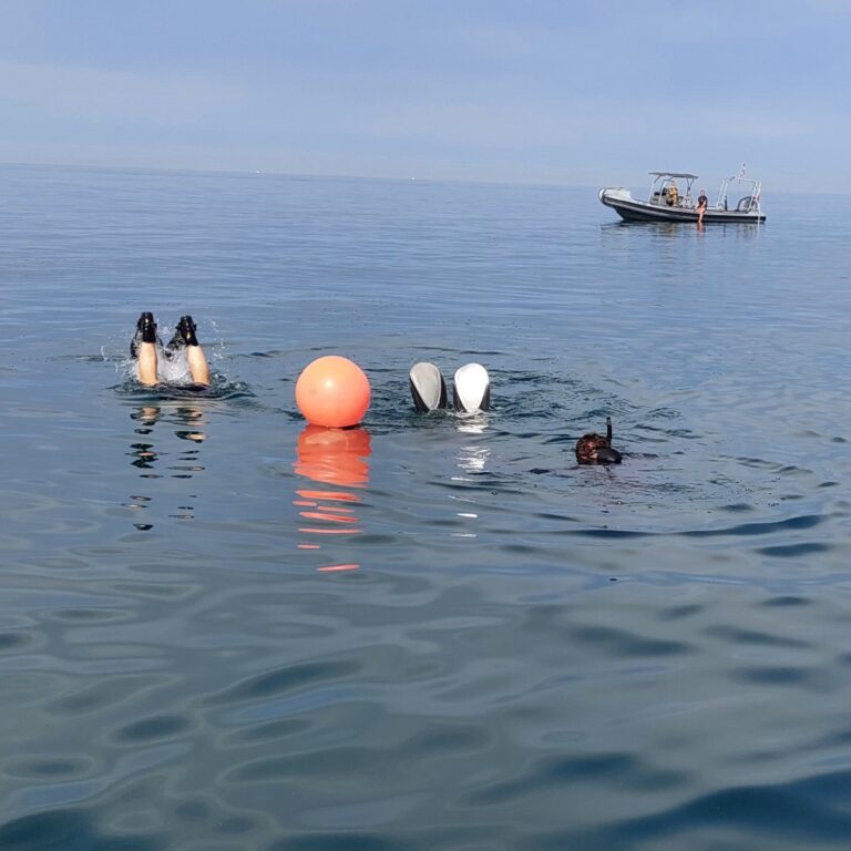 Na plažo v občini Piran iz morja izvlekli osebo, oživljanje ni uspelo