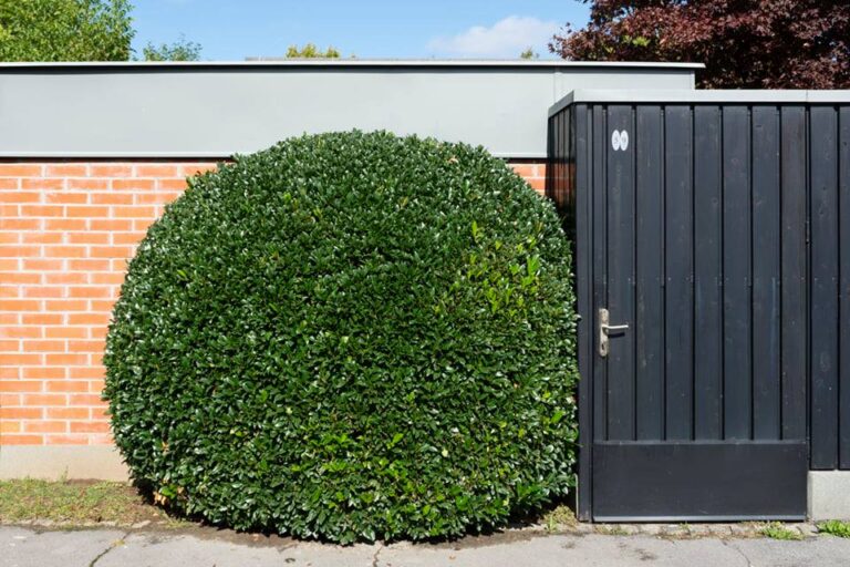 Vroč večer v Murglah, posredovali gasilci