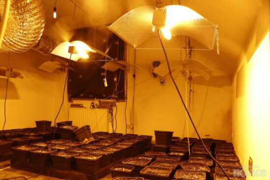 FOTO: Ojoj, kaj so našli med hišno preiskavo pri 33-letniku