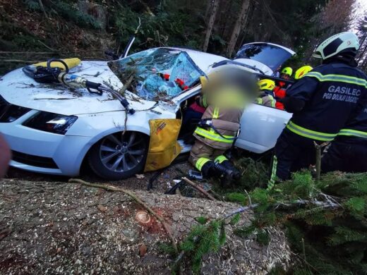 FOTO: Šokantni prozori! Podiral smreko, padla je na avto