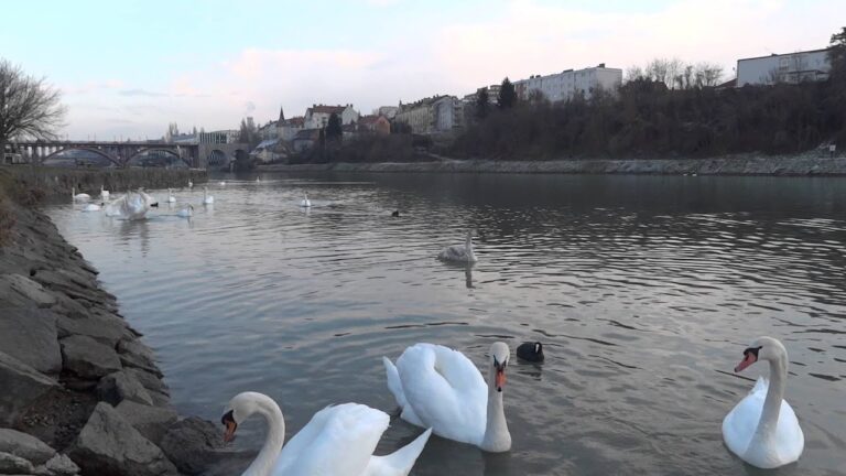 Kanu potegnili do obrežja, nadaljnje postopke prevzema policija