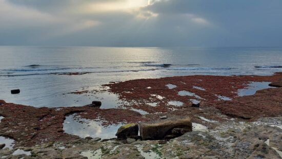 Sončen in vetroven dan, petek prinaša padavine, deloma plohe