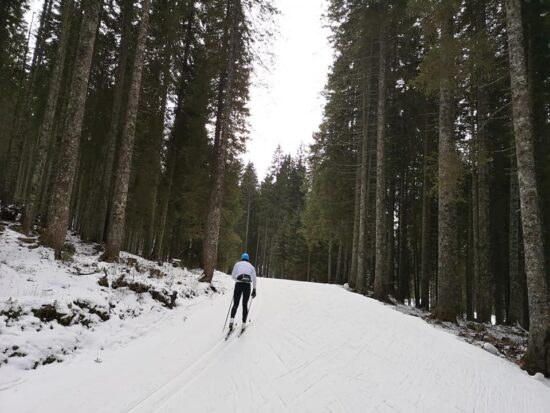 Na eni najlepših prog onemogel tekač