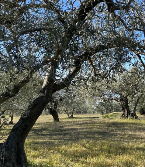 Poškodoval dve in pobegnil
