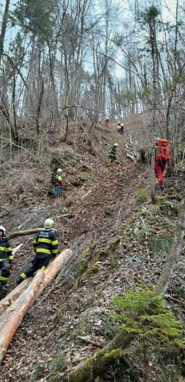 Poskusili z oživljanjem, gasilci iz gozda odnesli truplo