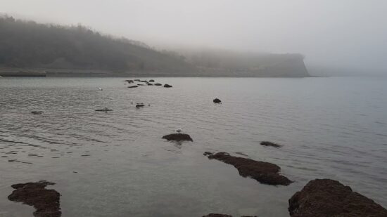 Drama v Simonovem zalivu, opazili negibno žensko