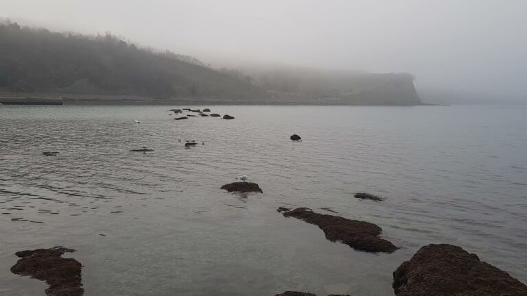 Drama v Simonovem zalivu, opazili negibno žensko