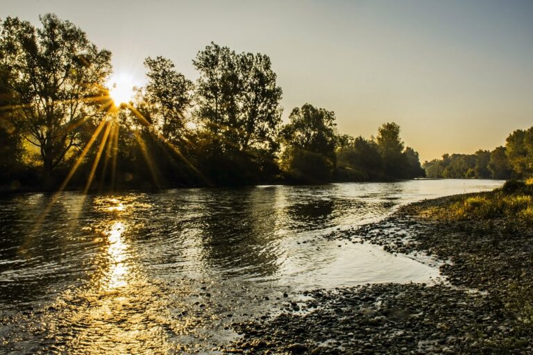 Ob reki jo je ugriznil, a ne vedo, čigav