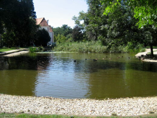 Utapljanje v ribniku, življenje 19-letnika menda visi na nitki