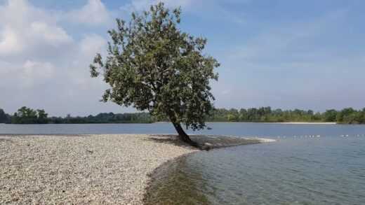 Na kopališču Aquacity se je utopil mladenič (25)