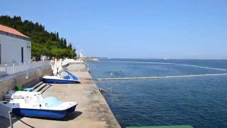 V marini občan padel z ladje na kopno