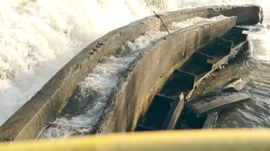 Drama, ostala je ujeta v mulju Ljubljanice