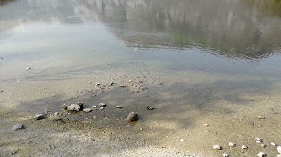 Pri plavanju v Bohinjskem jezeru doživel napad shizofrenije