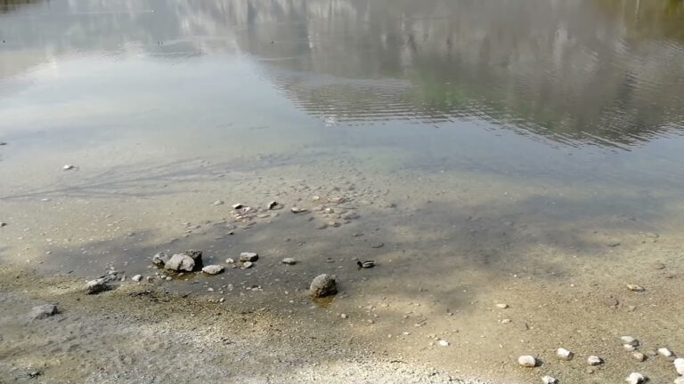 Pri plavanju v Bohinjskem jezeru doživel napad shizofrenije