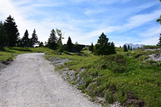 Na Veliki planini voznik dostavnega vozila zgrešil pravo pot