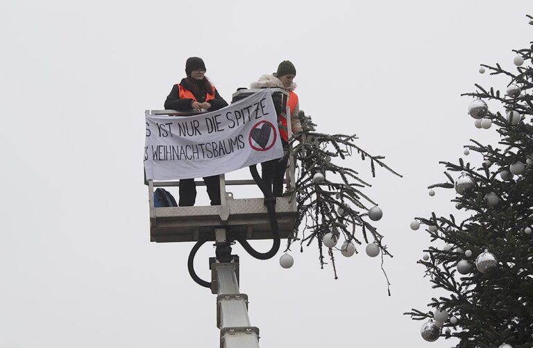 Podnebni aktivisti v Berlinu odžagali vrh božičnega drevesa